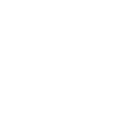 CLScan support regular icon