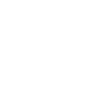 TSWebCam support regular icon