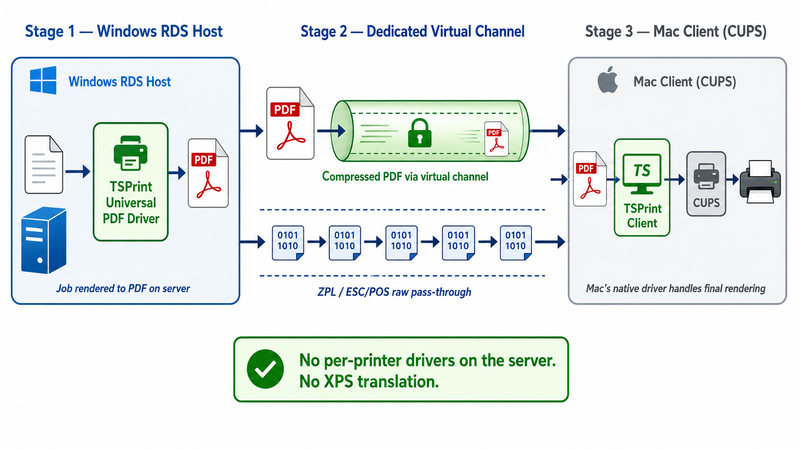 Diagram showing TSPrint Mac-to-Windows printing architecture: the Windows RDS server renders print jobs to PDF using a single universal driver, sends the compressed PDF through a dedicated virtual channel to the TSPrint Client on the Mac, which hands it to CUPS for native driver rendering, with a separate raw pass-through channel for ZPL and ESC/POS commands that bypasses all rendering entirely