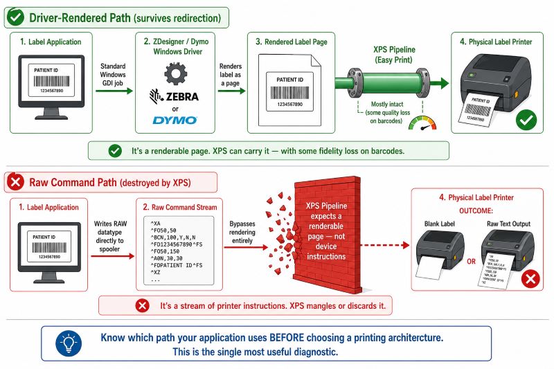 Diagram contrasting two label printing paths: the driver-rendered path where the application sends a standard Windows GDI job to the ZDesigner or Dymo driver which produces a renderable page that survives the XPS pipeline with some barcode fidelity loss, versus the raw command path where the application writes ZPL EPL or ESC-POS device instructions directly to the spooler as RAW datatype which the XPS pipeline mangles or discards entirely because it expects a page to draw rather than printer instructions